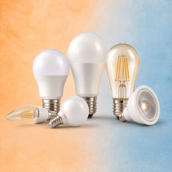 Bulbs