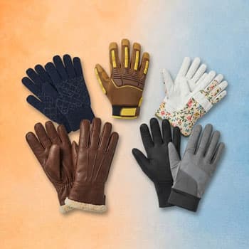Gloves